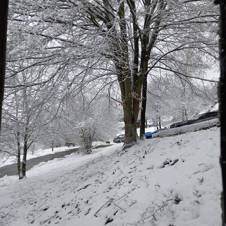 Le Lumadel Daire Malmedy Dış mekan fotoğraf