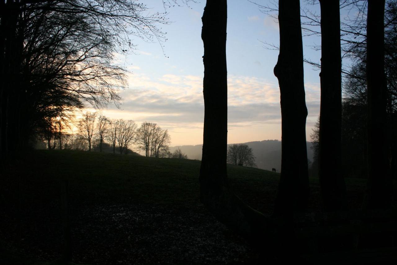 Le Lumadel Daire Malmedy Dış mekan fotoğraf