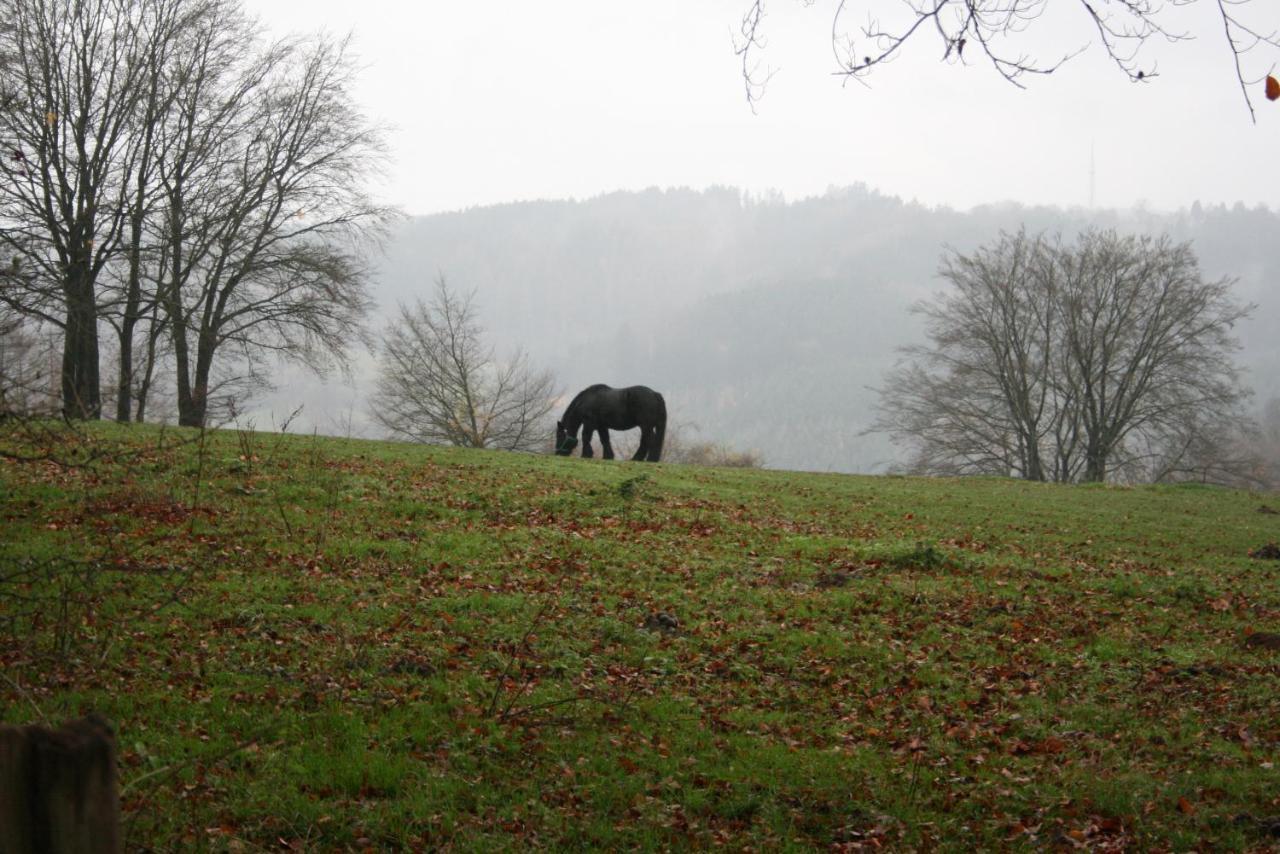 Le Lumadel Daire Malmedy Dış mekan fotoğraf