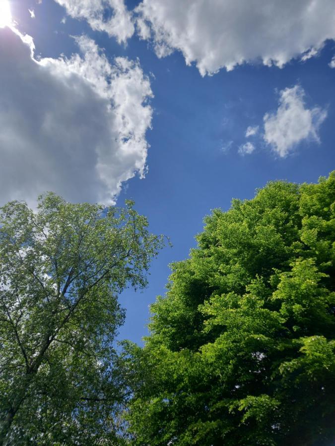 Le Lumadel Daire Malmedy Dış mekan fotoğraf
