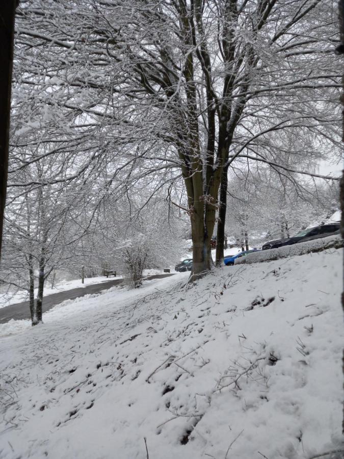 Le Lumadel Daire Malmedy Dış mekan fotoğraf