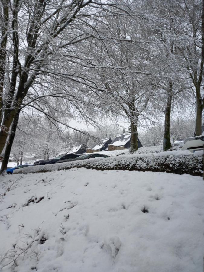 Le Lumadel Daire Malmedy Dış mekan fotoğraf