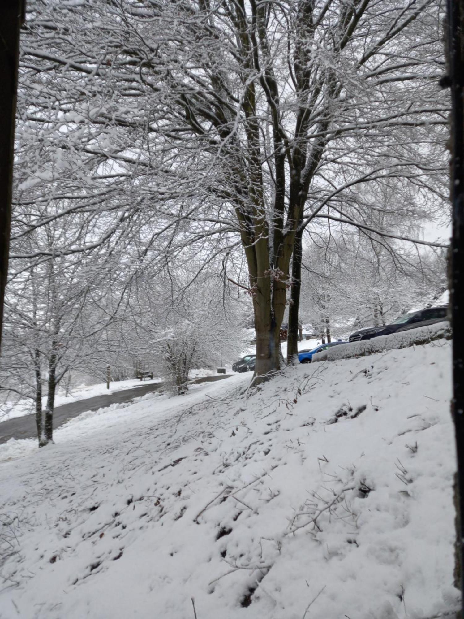 Le Lumadel Daire Malmedy Dış mekan fotoğraf
